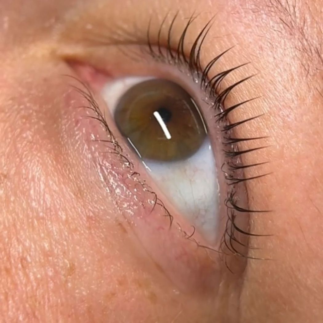 Wimpern & Augenbrauen in Kuddewörde
